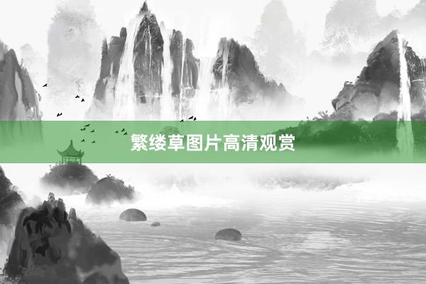 繁缕草图片高清观赏